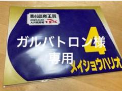 ガルバトロン様専用】第46回帝王賞優勝馬メイショウハリオ