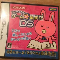 NOVAうさぎのゲームde留学