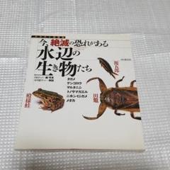 今、絶滅の恐れがある水辺の生き物たち : タガメ・ゲンゴロウ・マルタニシ・トノ…