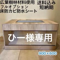2025年最新】爬虫類 ケージ 木製の人気アイテム - メルカリ