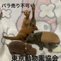 昭和レトロ　ヴィンテージ　東京動物園協会　おがくず人形　5コセット　中古品 昭和レトロ ヴィンテージ 東京動物園協会 おがくず人形 5