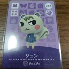 2025年最新】amiiboカード ジュンの人気アイテム - メルカリ