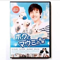 希少 韓流　セル版 DVD ボクとマウミの物語 / ソン・ジュンギ主演作 希少 韓流セル版 DVD ボクとマウミの物語 / ソン・ジュンギ主演作