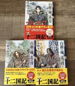 白銀の墟 玄の月 1、3、4巻　小野不由美