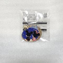 ディズニー　アブーズバザール・ジャングルカーニバル　ピンバッジ　30種　非売品 東京ディズニーランド「ジャングルカーニバル」 本日12月26日17