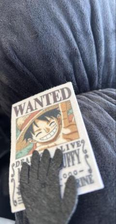 ワンピース めちゃながイム様ぬいぐるみ　新品タグ付き