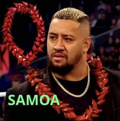 サモアSAMOAの伝統的な首飾りウラファラ☆お祝い☆ サモアSAMOAの伝統的な首飾りウラファラ☆お祝い☆ - メルカリ