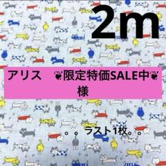 【特価】ラスト1枚★スケアシーチング★猫　水色★