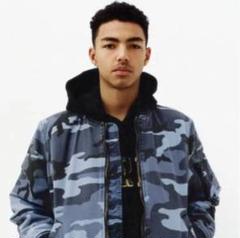 【完売品】supreme 15ss Reversible Cotton MA-1