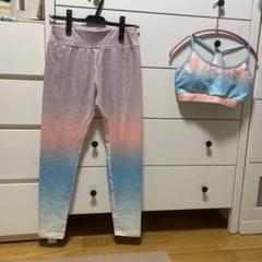 シェイン　トレーニングウェア　セットアップ
