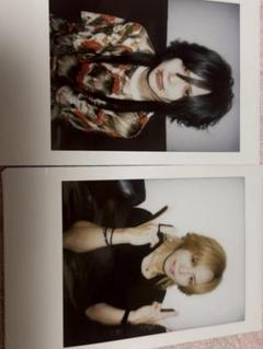 Royz 智也 チェキ 31枚セット Royz 智也 チェキ セット - メルカリ