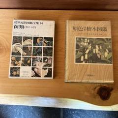 標準原色図鑑全集14 菌類（きのこ・かび）　保育社　原色日本樹木図鑑