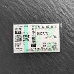 京都大賞典⑭番アイアンバローズ応援馬券 ドウデュース 宝塚記念 京都競馬場 現地 応援馬券 がんばれ馬券