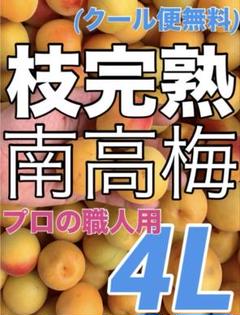 2519❄️クール便　MAX5L3kg 完熟南高梅　ジャンボ梅干し　キルトパッチ 2519❄️クール便 MAX5L3kg 完熟南高梅 ジャンボ梅干し キルト