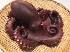 捕れたて地ダコ浜茹で1匹丸ごと(1640g)