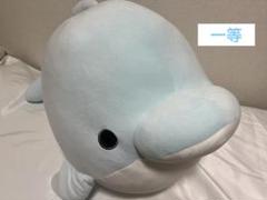 イルカぬいぐるみ　特大　1等 大洗水族館限定 アクアワールド茨城県立大洗水族館 ロトイルカ・ロトカワウソ