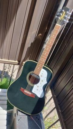 人気絶頂 ギ*じ様 Wピックアップ付 詳細不明 200（？）BK Takamine 超美品 ギター