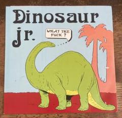 ■稀少ライブ名盤EP■DINOSAUR JR. / ダイナソーJr.■What