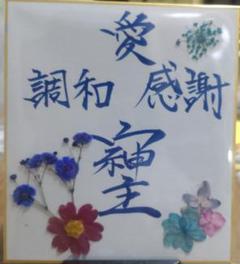 ミニ色紙（そしじ）