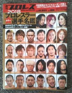 週刊プロレスNo1931 選手名鑑2018
