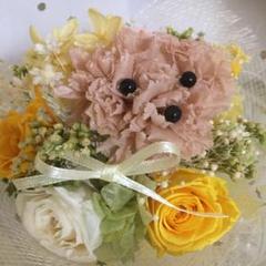 最終お値下げ❤︎可愛い〜カーネーションわんちゃんブーケ プリザーブドフラワー❤︎
