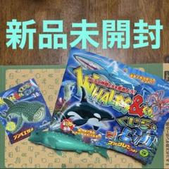 2025年最新】くじら&coビッグの人気アイテム - メルカリ