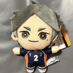 ハイキュー にとたん ぬいぐるみ マスコット 思い出 菅原 菅原孝支 ハイキュー!! みにコレ ぬいぐるみマスコット2 菅原孝支③