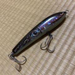 2025年最新】カーペンター ブルーフィッシュ 60 170の人気