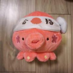 めざせ合格!　オクトパスぬいぐるみM