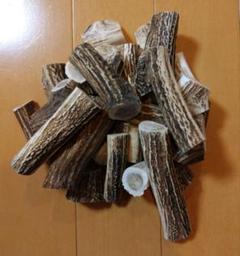 鹿の角端材チップエゾシカ蝦夷鹿アクセサリー素材10kg