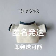 2025年最新】ツアーt ちびぬいの人気アイテム - メルカリ