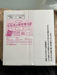 帰ってきた名探偵ピカチュウ 早期購入特典！✖️２セット完全未開封品