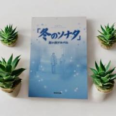 冬のソナタ メイキングDVD 希少品 22年の時を経ても尚色あせない名作！