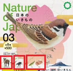 商品一覧 – ネイチャーテクニカラー公式