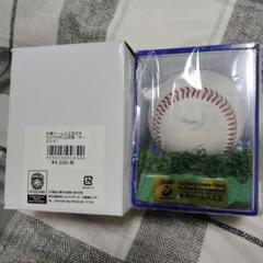 大谷翔平実使用？？札幌ドーム人工芝付きファイターズ実使用ボール 大谷翔平実使用？？札幌ドーム人工芝付きファイターズ実使用