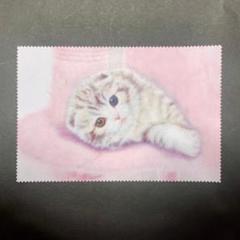 【大人気】メガネ拭き／子猫：スコティッシュフォールド・オッドアイ【リアル絵】のサムネイル