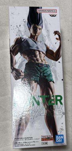 HUNTER×HUNTER ハンターハンター ゴン フィギュア ありったけの