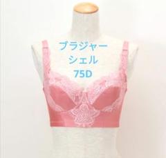 グラントイーワンズ ブラジャーの検索結果 - メルカリ