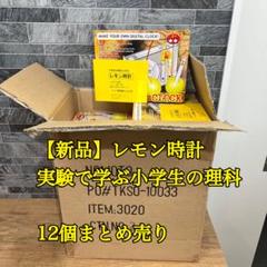 【新品 】　実験で学ぶ小学生の理科　【レモン時計】12個　夏休み　自由研究