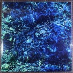 新品Luminescent Creatures 初回限定（デラックス）アナログ 9ec68e54fcb79429a2fe0fd2c6ebf3