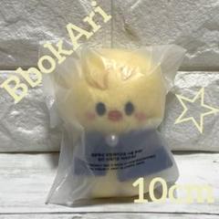 スキズ straykids ペンミ 10cmぬい SKZOO【ポガリ】 - メルカリ
