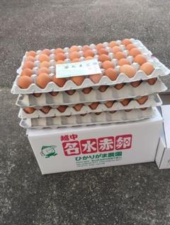 160個 若たまご たまご掛けご飯用 生2週間 加熱1カ月 目玉焼き