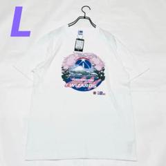 新品未使用タグ付 NBA Tシャツ ウィザーズ L JAPANGAMES2022