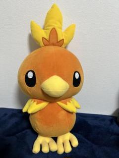 アチャモ