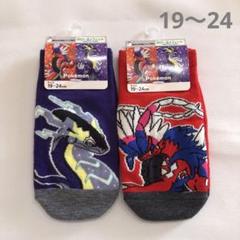 ポケモン　ソックス　2足セット　19〜24㎝　ミライドン　コライドン