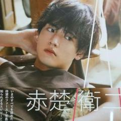 赤楚衛二 雑誌 10冊以上　パンフレット クリアファイル など 赤楚衛二 雑誌 10冊以上 パンフレット クリアファイル など