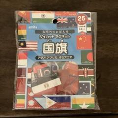 知育玩具　ダイカットマグネット　国旗　amifa