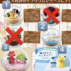 ポケモン　テラリウムコレクション　アローラ　ポッチャマコレクション ポケットモンスター サン＆ムーン テラリウムコレクションEX