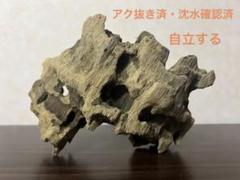 XM-330 流木マシンガンウッド　ブランチウッド　アクアリウム　沈水確認済 XM-343 流木 マシンガンウッド アクアリウム 沈水確認済 - メルカリ