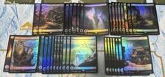 FFTCG スノウ&ライトニング フルアート 3枚 セット 71lzdjsKn3L._UF350,350_QL80_.jpg